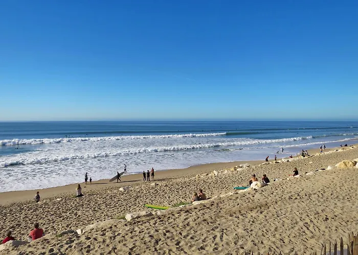 Les Oceanides-20 By Interhome